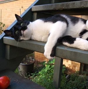 Meet your Posher, Tamie